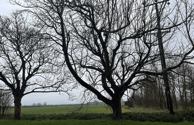 One Bedroom Barn With Free Parking - Photo 11