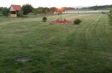 Seoski Turiziam Larva - Photo 14