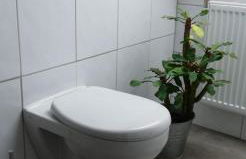 FW Achterdeck, 1 Obergeschoss, Petershof-Lehbek - Foto 8