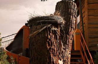 Crows Nest Treehouse At El Mistico Ranch - Foto 69