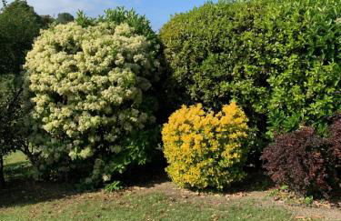 Can Figueretes II - Foto 13