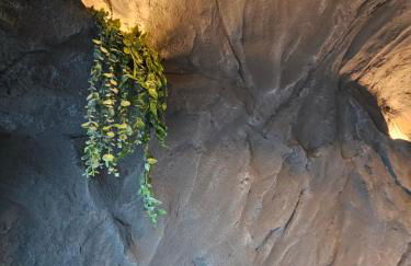 L'Escargot - Maison avec espace bien être privatif - Foto 50