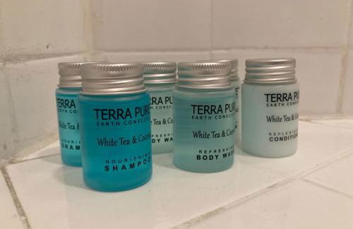 Pineapple House, Spacious 1st Floor Apartment! City Center! 96 Walk Score! FREE parking! - Foto 20