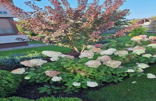 Apartment in Stepnica near Szczecin Lagoon - Foto 26