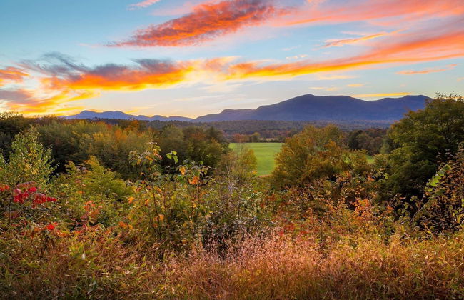 River View House - Photo 46