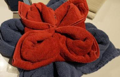 Drachenflieger - Foto 12