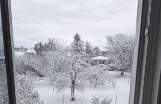 Ferienhaus Mina im Harz - Foto 2