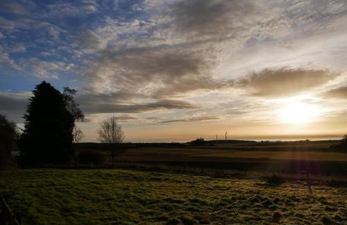 Redroofs By The Woods - Uk41559 - Photo 32