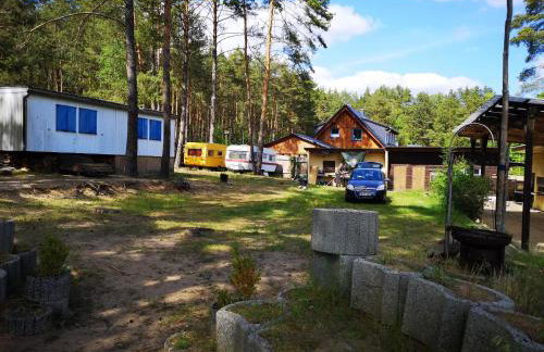 Bungalows im Grünen - Photo 15