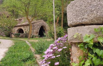 La Calma Montblanc Prenafeta - Photo 14