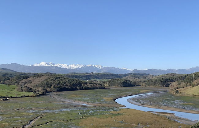 Apartamentos Las Garzas de Oyambre - Photo 36