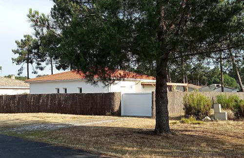 Santa Monta - Foto 35