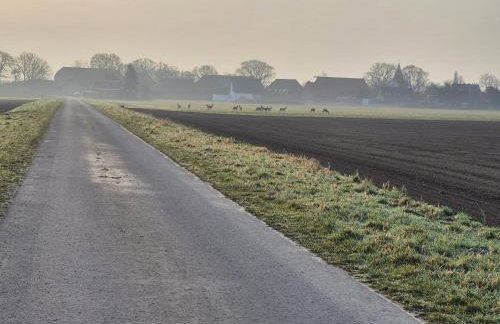 Ferienwohnung bei Nebel in Mandelsloh - Foto 34