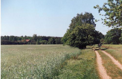 Anno-Nostalgia - Foto 29