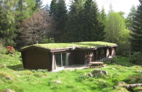 Our Log House in the woods - Photo 29