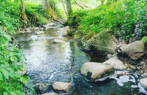 Przystan Ramotowo - Foto 9