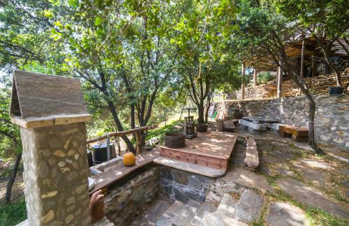 Captain Ikaros - Foto 46