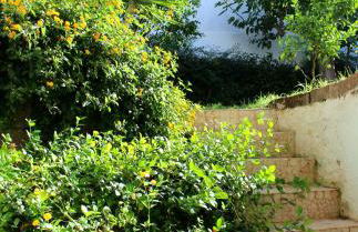 Urban Nest Suite - Foto 36