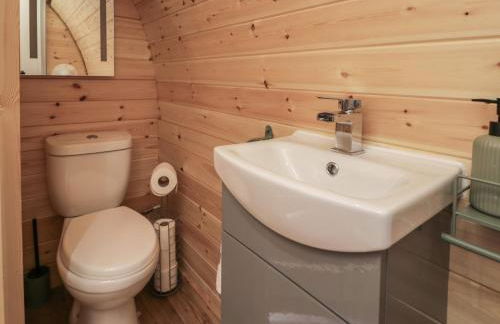 Dysynni Pod - Foto 10