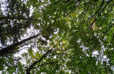 Apartament FANABERIA Lądek Zdrój - Foto 31