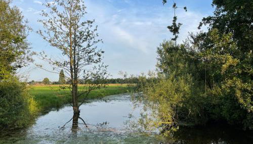 Haus Biber - altersgerechtes Ferienhaus am Niederrhein - - Foto 5