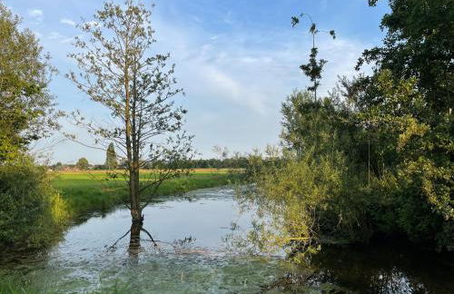 Haus Biber - altersgerechtes Ferienhaus am Niederrhein - - Foto 5