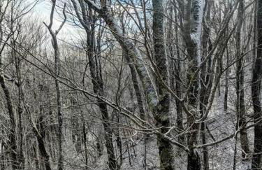 Heaven's Peak - Foto 44