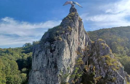 Charming Holiday Residence in the Harz With Wonderful Excursion Opportunities - Foto 88