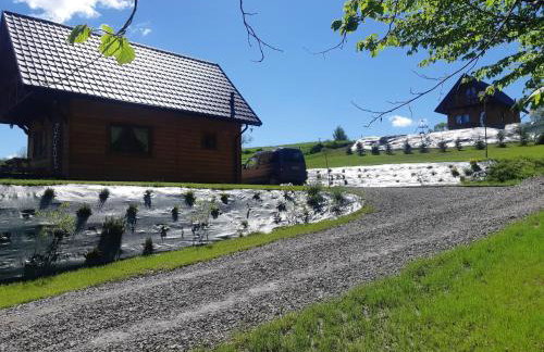 Domek na wzgórzu "RYŚ" - Foto 14