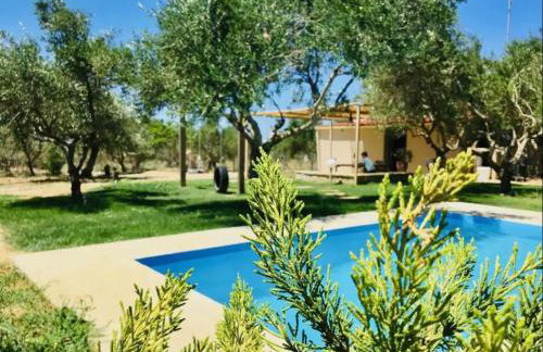 five pathways - Foto 32