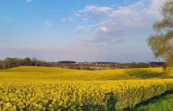 Agroturystyka u podnóża Gór Sowich - Foto 23