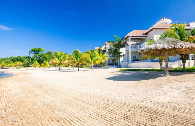 Lawson Rock - Angelfish 100 - Foto 12