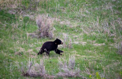 The Shepherd’s Nook - Foto 26