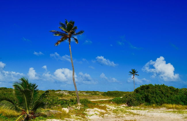 Villas at Indigo Reef - Foto 40