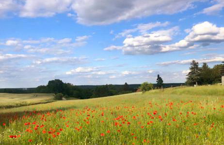 Ferienhaus Gerda & Heinz - Foto 18