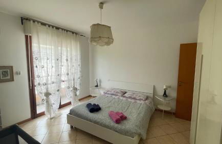 Cleo camelia - Foto 1