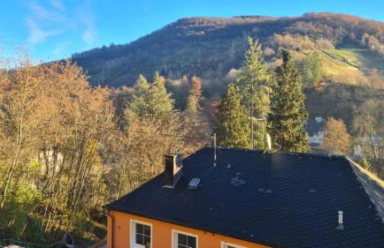 Waldhaus zum gechillten Hirsch in der Natur, bei der Moseltherme Traben-Trarbach - Foto 7