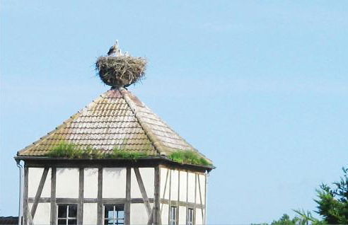 Herrenhaus Lübbenow - Foto 16