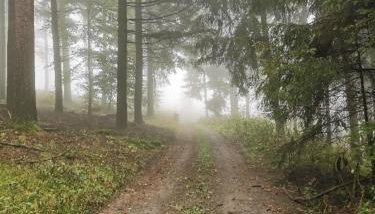 FeWo Albrecht - Foto 2