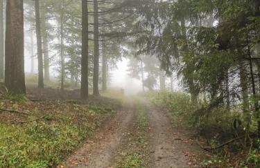 FeWo Albrecht - Foto 2