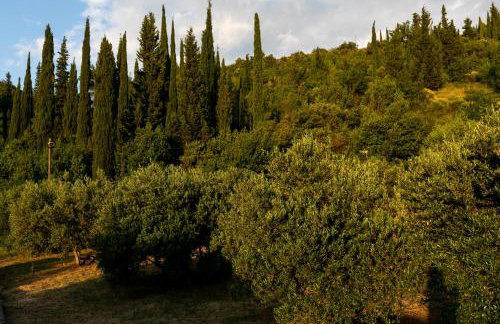 Relax Zone Apartment - Photo 14