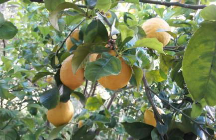 Athina Apartments - Foto 19