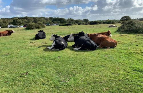 Heathfield Estate - Foto 50