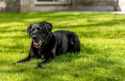 2 Bed in Saltash oc-87709 - Foto 16