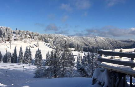 Ferienwohnung Feldberg Schwarzwald - Foto 35