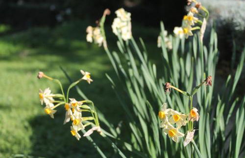 FERRUM house - Foto 42