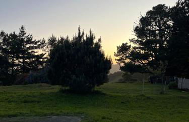 Deer's Meadow - Photo 6