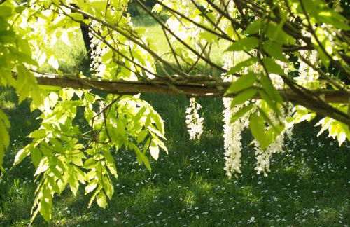 La Vayssade - Grand Gîte de charme - 14 pers - Piscine & Jacuzzi - Photo 54