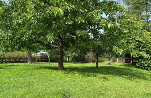 Casa de Los Carpinteros AT-1366-AS - Photo 13