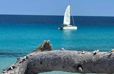 Villa les palmiers -Stretta di i mandarini - Foto 36